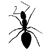 :iconciro-design: