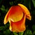 Cisety :iconcisety:
