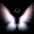 :iconcitadelofangels:
