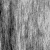 :iconcitizen1nsn: