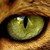 :iconcitrineleaves: