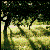 :iconcity-elates: