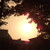 :iconcity-smith: