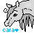 :iconcitysnow: