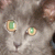 :iconckwarwick: