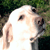 :iconckyfan7788: