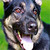 :iconckyfan7788:
