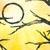 :iconclair-chan: