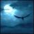 :iconclaircc:
