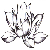 :iconclaire-alexandra: