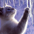 :iconclairesart71: