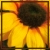 :iconclairev: