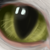 :iconclairey-kun: