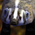 :iconclan-badger: