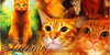 :iconclan-cats-101: