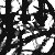 :iconclare-unsworth: