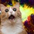 :iconclare15: