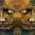 :iconclarityimages: