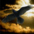 :iconclassicalraven:
