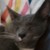 :iconclassicvampfan2: