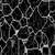 :iconclaude-g: