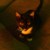 :iconclaudec: