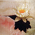 :iconclaudiacamraffi: