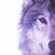 :iconclaudiafernandes: