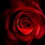 :iconclaudiatheraven: