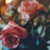:iconclaudifish: