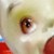 :iconclautjejoepieyaoi: