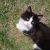 :iconclawtailnrazor: