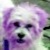 :iconclay-dreams: