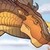 :iconclaymudwingdragon: