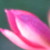 :iconclaysnstuff: