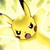:iconclear-as-night: