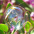 :iconclearbubble: