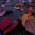:iconclearly2: