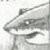 :iconclearlyashark: