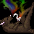 :iconcleat: