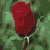 Clev3r :iconclev3r: