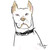 :iconcleve5sp: