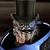 :iconclickreload: