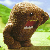 :iconclimhazard: