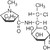 :iconclindamycin: