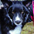 :iconclip24: