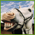 :iconclipclopclip: