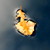 :iconcloakedinautumn: