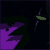 :iconcloakedwisdom: