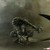 :iconcloakrider: